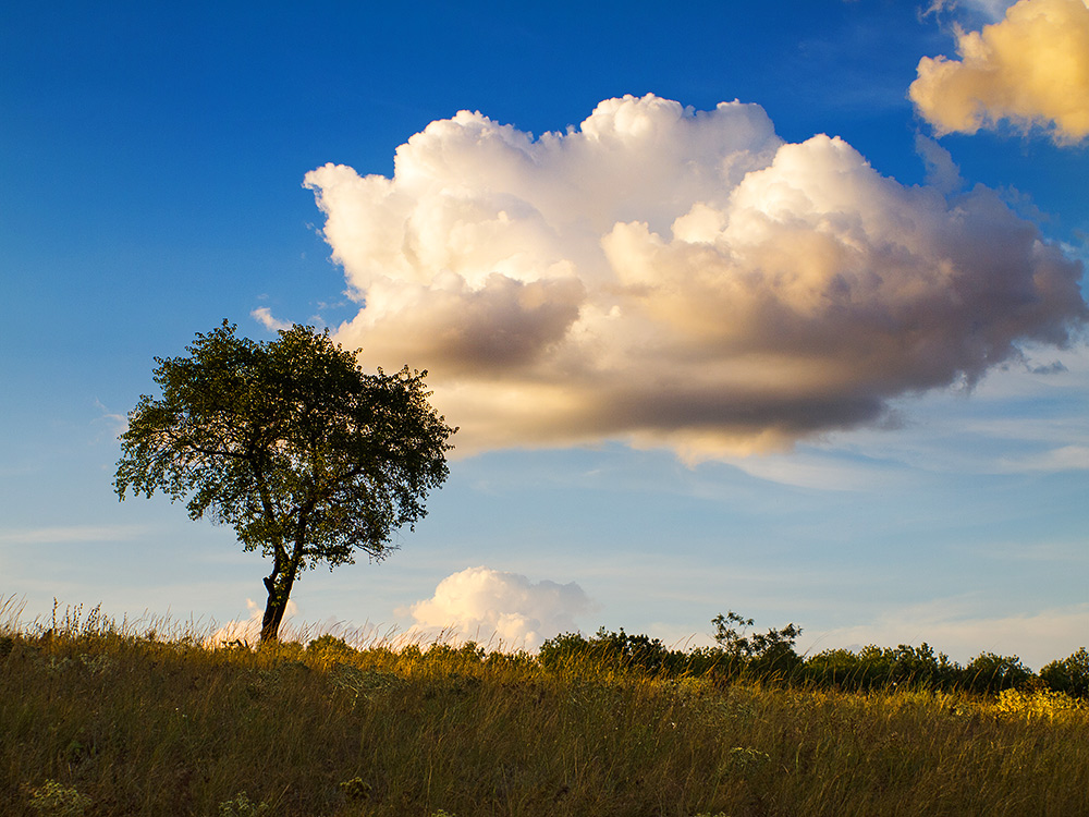 Über den Wolken ...