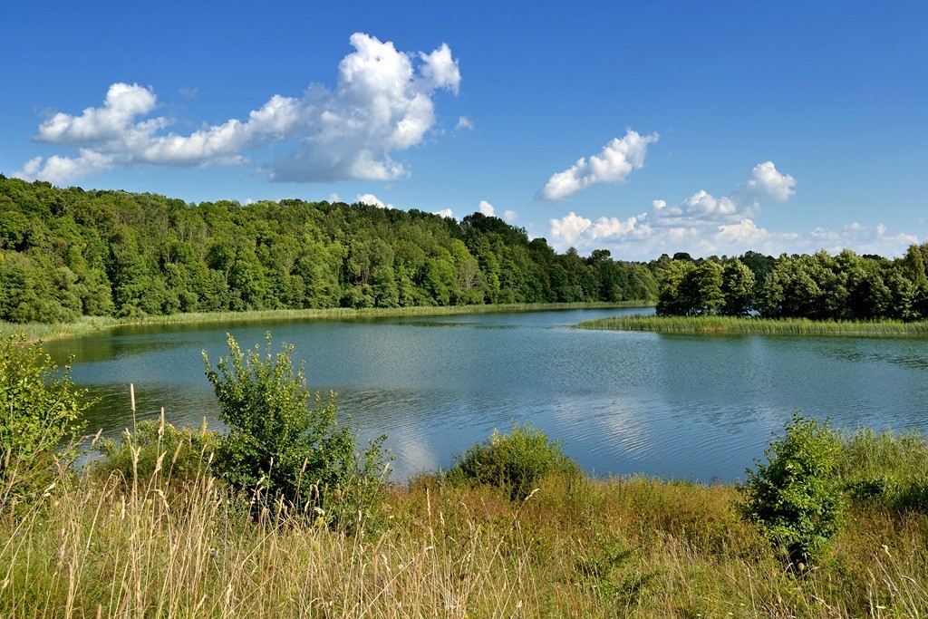 Meine blauäugige Heimat