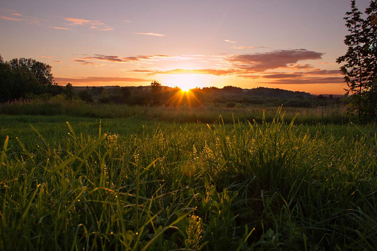 Morgendämmerung im Dorf