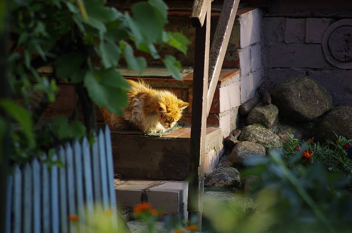 Sehnsucht nach Jugend ***