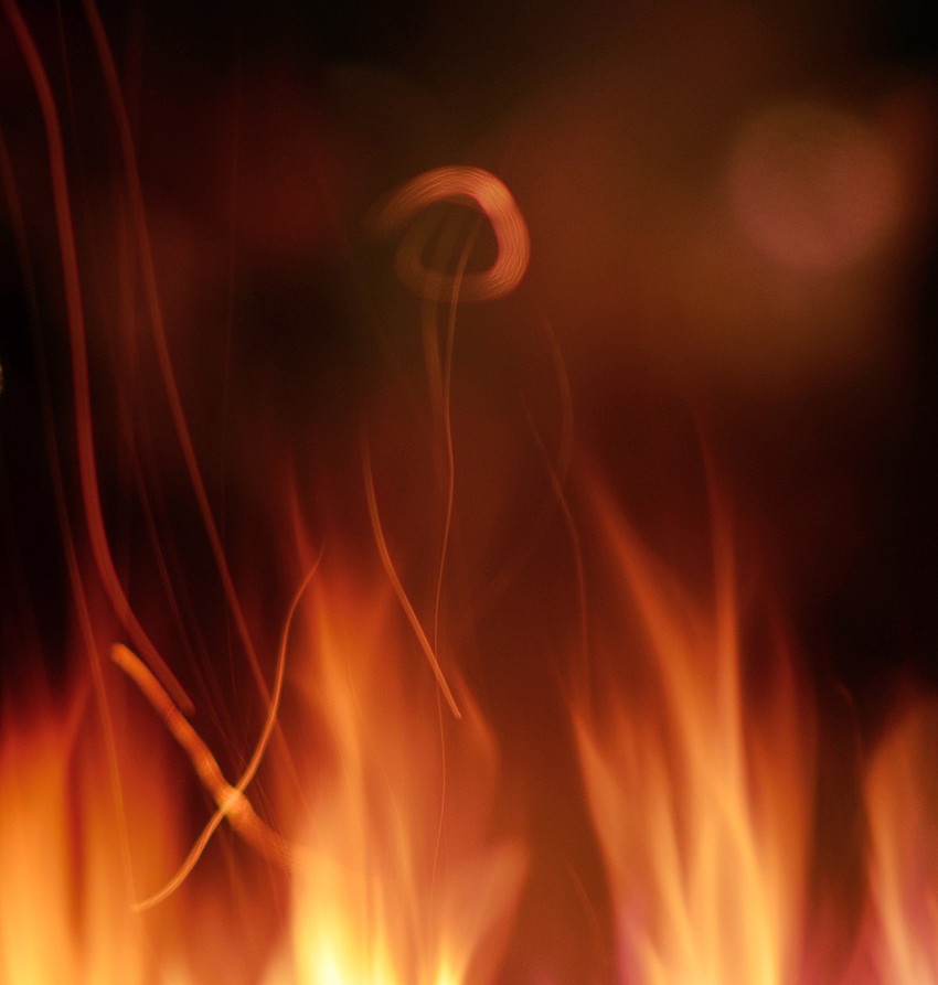 über rote Blume ....