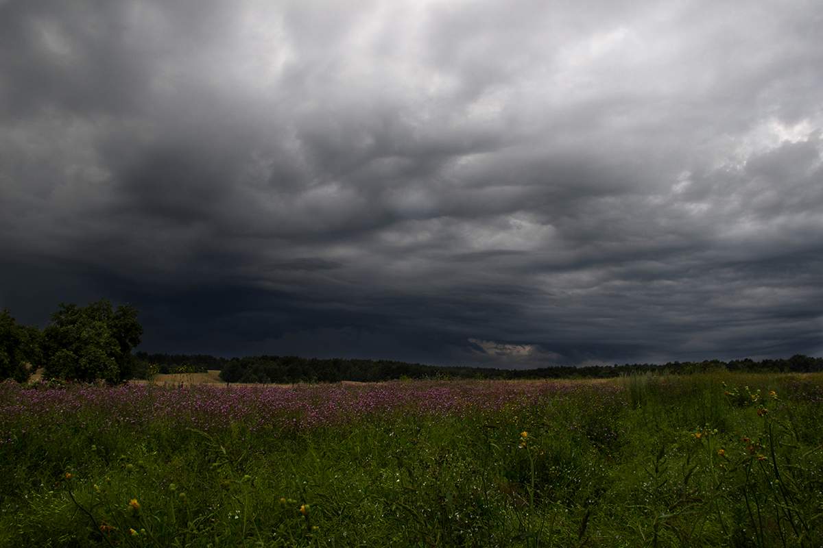 Vor dem Sturm