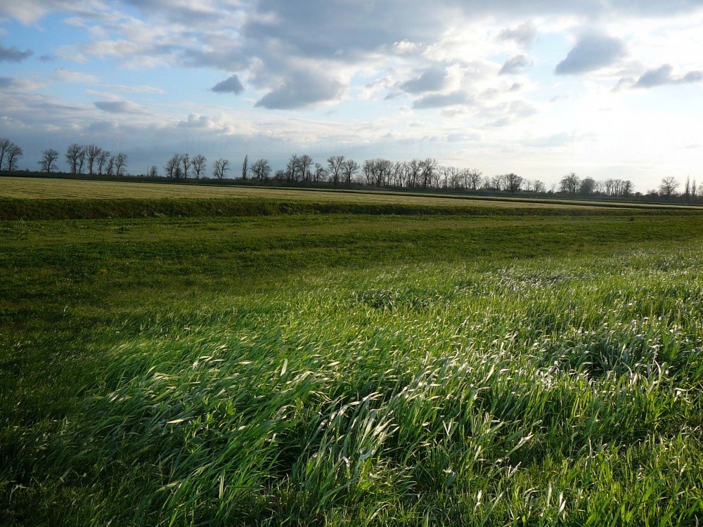 Teppichboden mit Wind