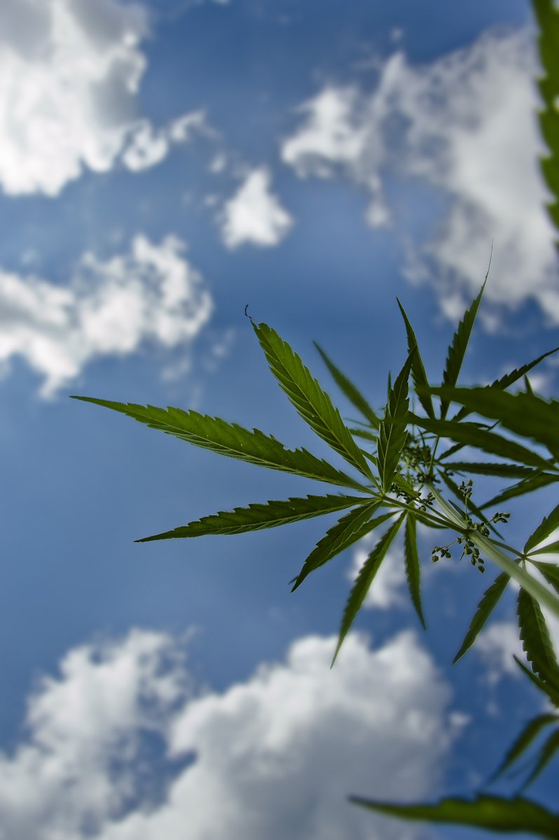 Die Tatsache, dass man nicht nennen