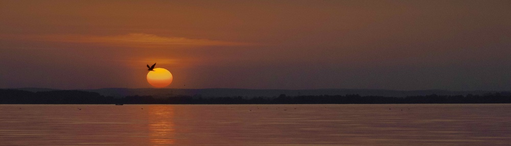 Auf der Suche nach Glück!