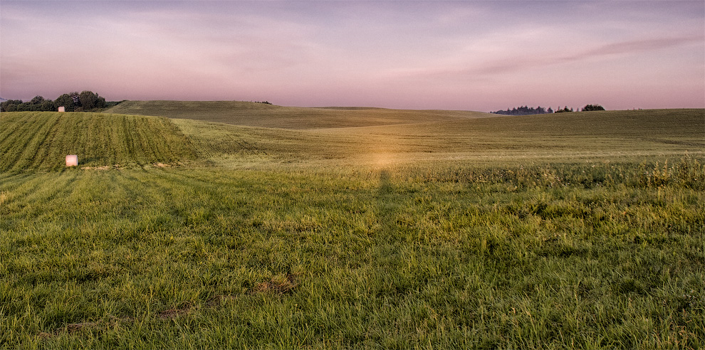 Selbstporträt mit Heiligenschein