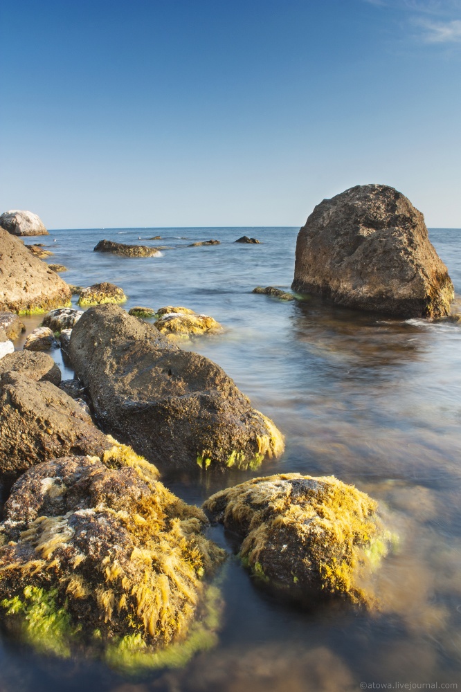 Und die weichen Krabben schleicht dort irgendwo ...