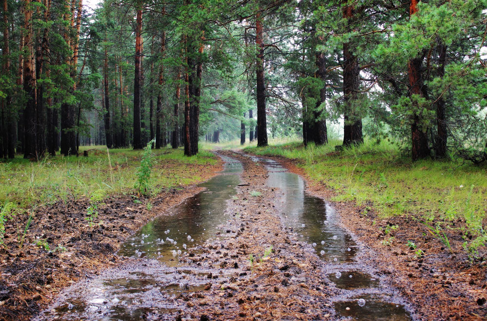 Herbst rückt immer näher ...