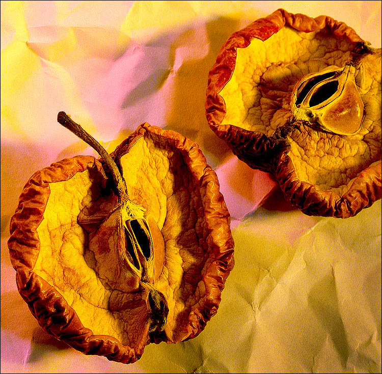 Hälften eines Ganzen.