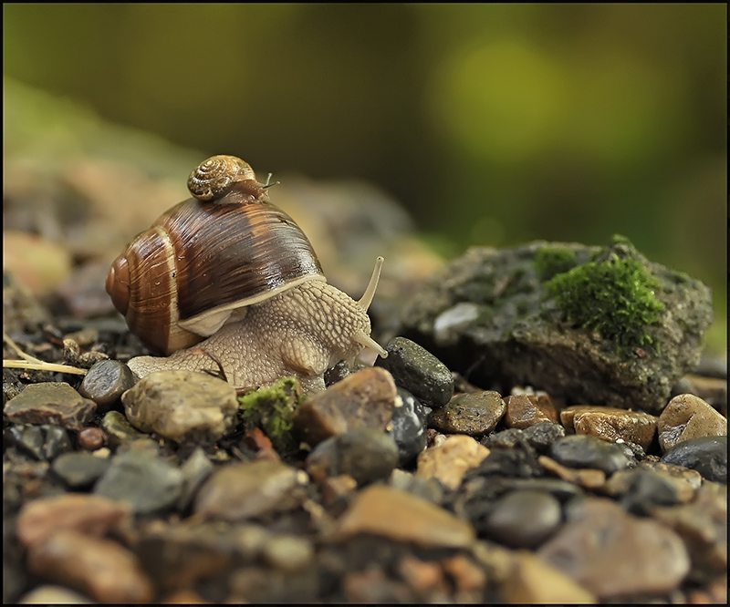 Eine Reise zu den "Hasen" ...