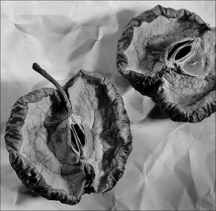 Hälften eines Ganzen (b / w Version).