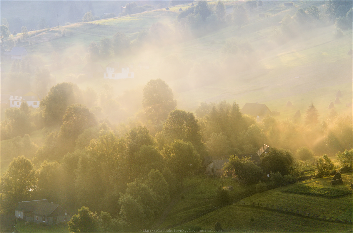 / Die Juli-Seelsorge /