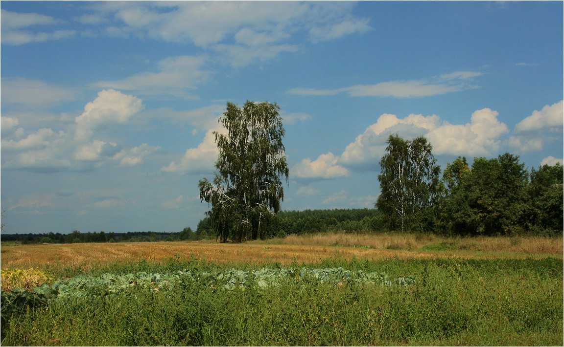 Berkovskiy NEIGHBORHOOD ...