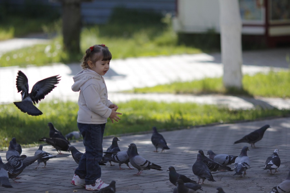 "Сколько вас много!"