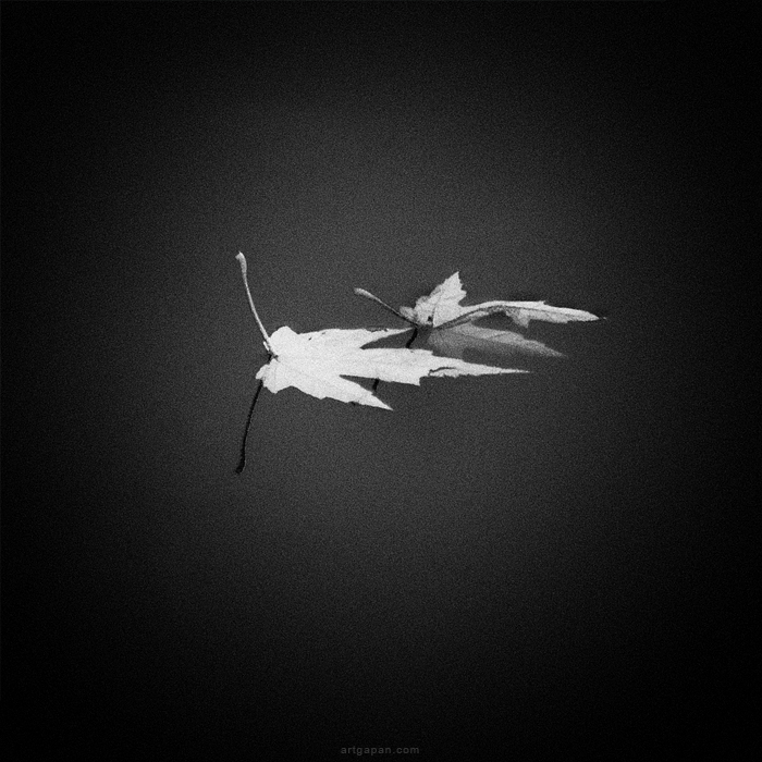 Die beiden verlieben im Wasser ...