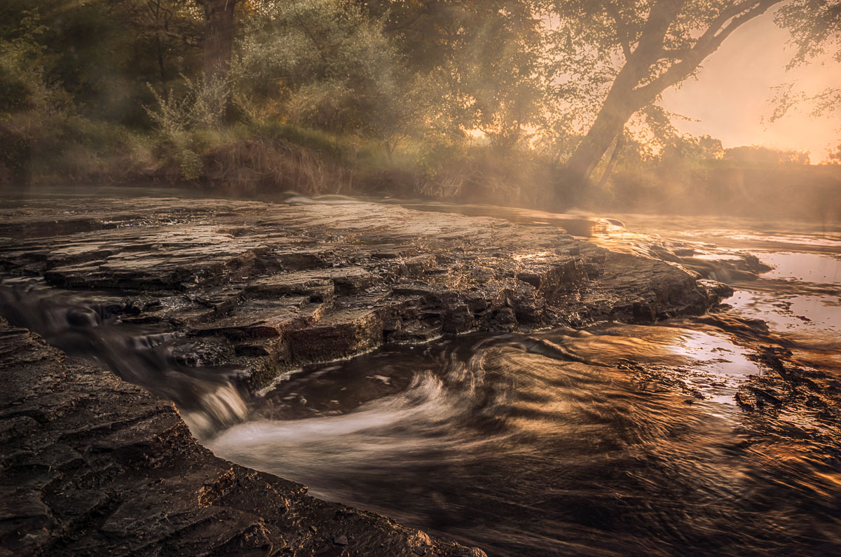 Füttern nebelig ...