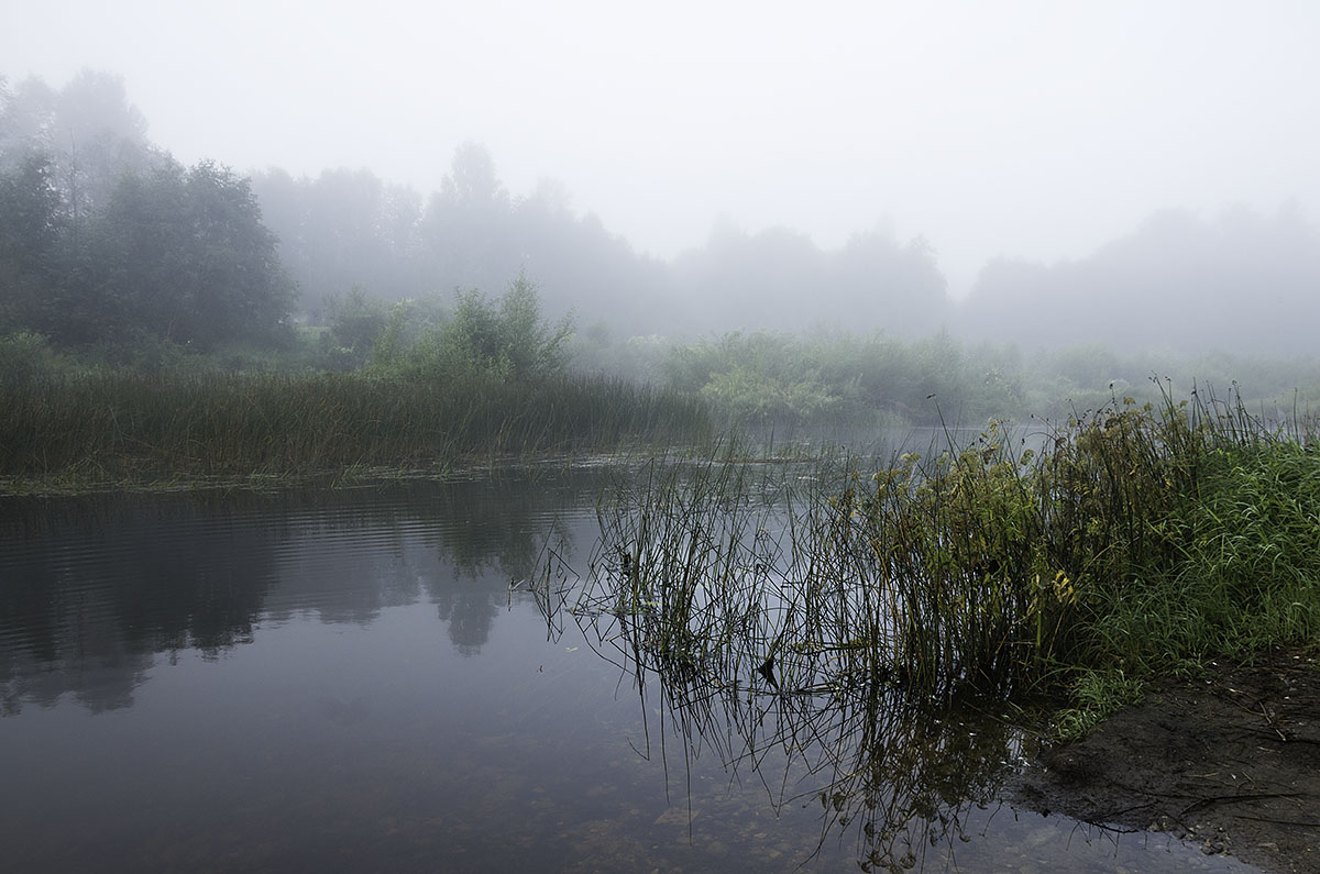 Nebel auf dem Fluss Cherekha