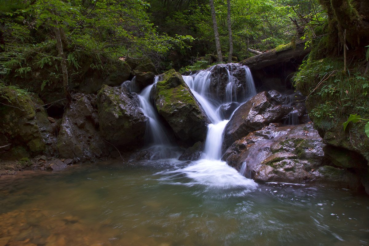 Schwellenwerte Mezmayki 1