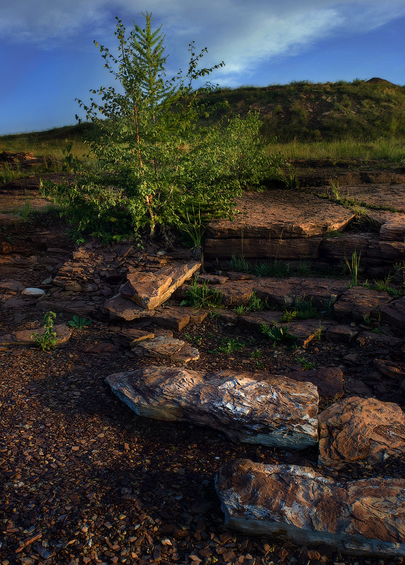 Und auf den Felsen ...