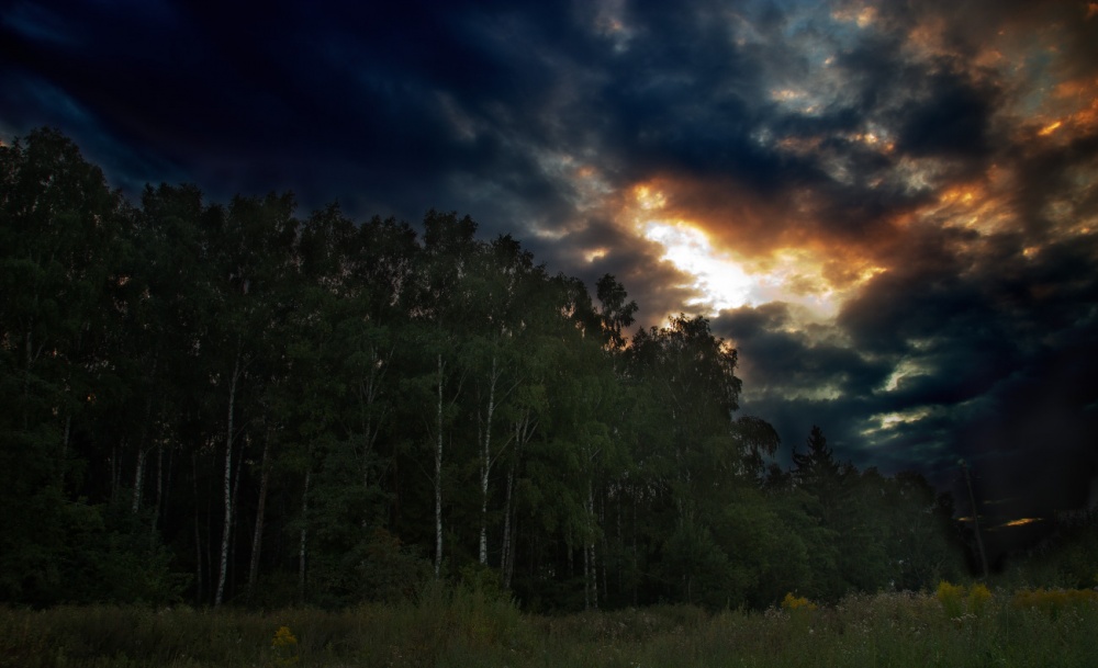 A Sound of Thunder ...