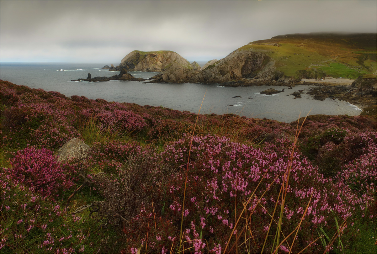 ...Toralaydan Island & Port Bay...