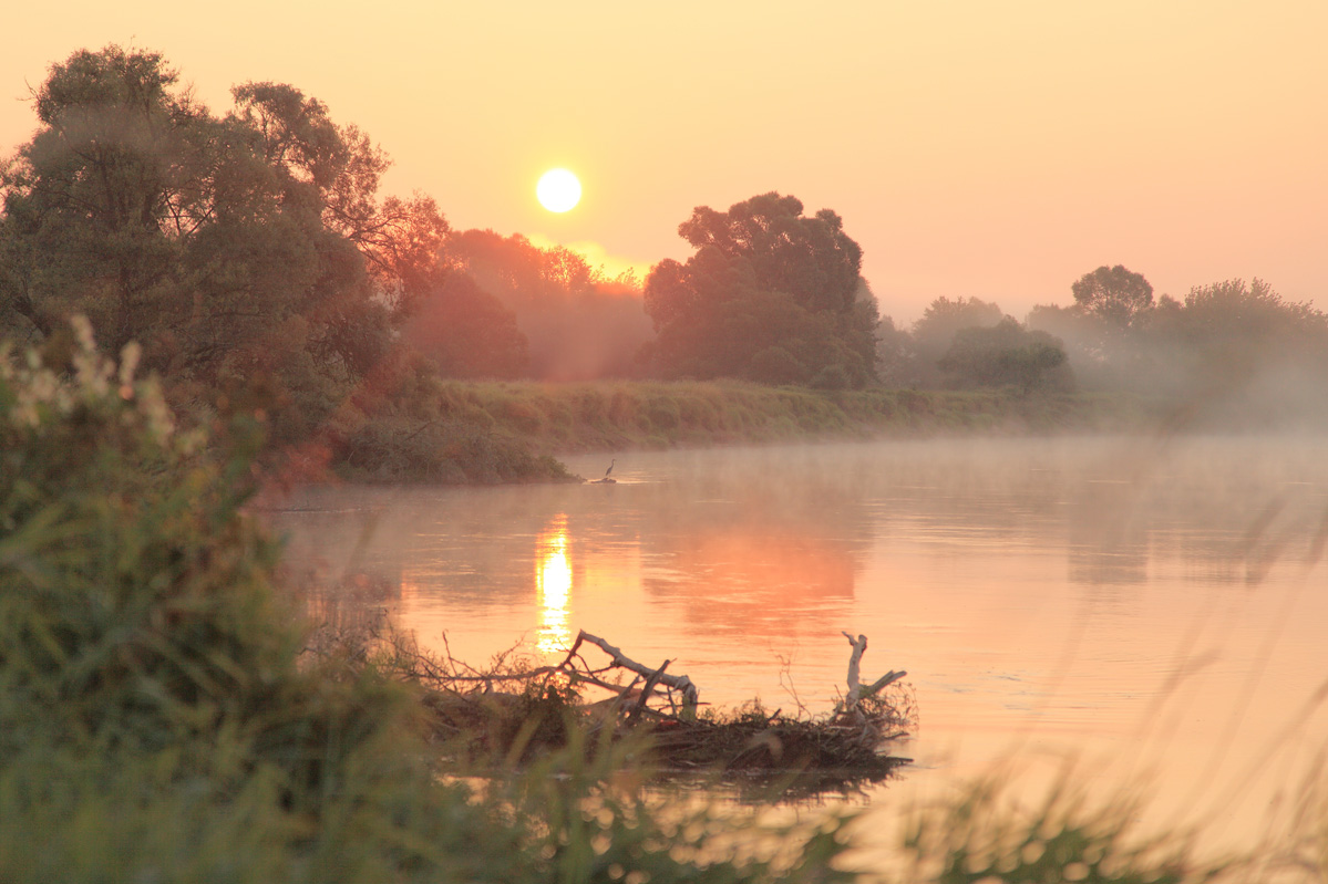Waiting for breakfast ...