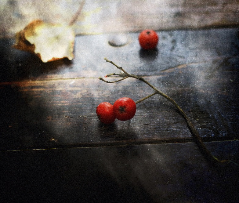 In diesem September gingen wir versehentlich ....