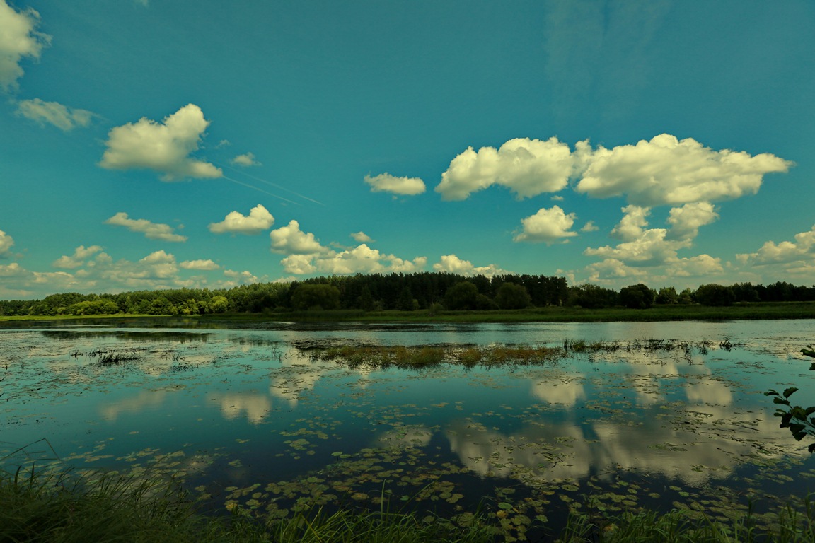 р. Сэрвач, Вилейское водохранилище