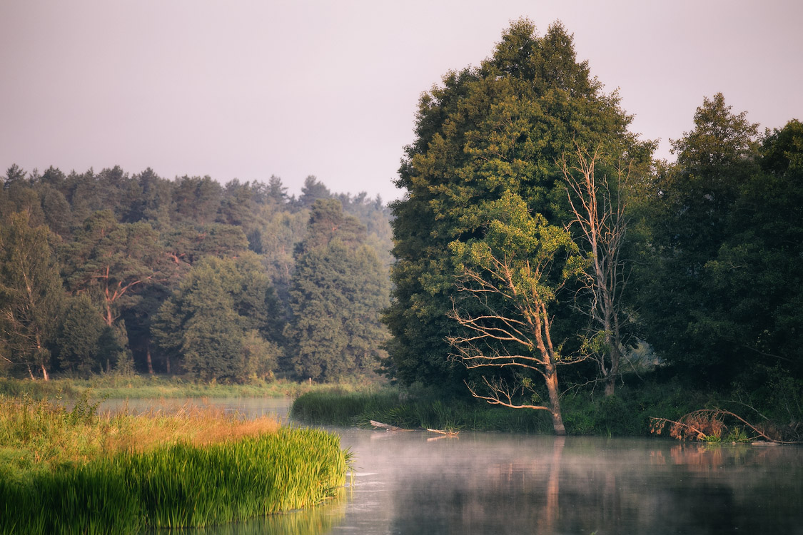 Morgen auf dem Neris