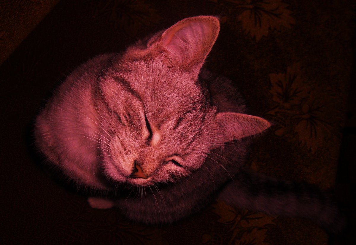 Pardonne-moi ce caprice d’enfant...