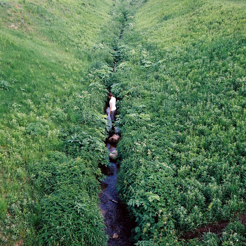 wiederkehrenden Traum