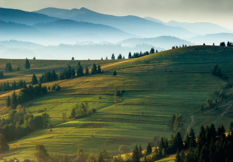 Die beste Zeit des Tages