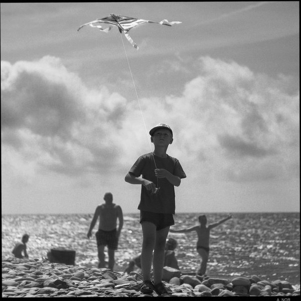 Als kleiner Junge genießt die Einführung eines flüchtigen Schlange.