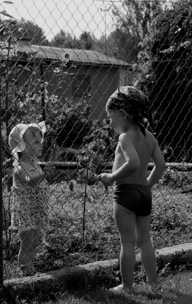 Wenn ich nur gehofft Obwohl selten, mindestens einmal in der Woche in unserem Dorf, Sie zu sehen