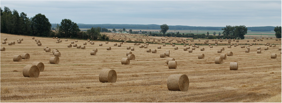Belaruski kaleydaskop