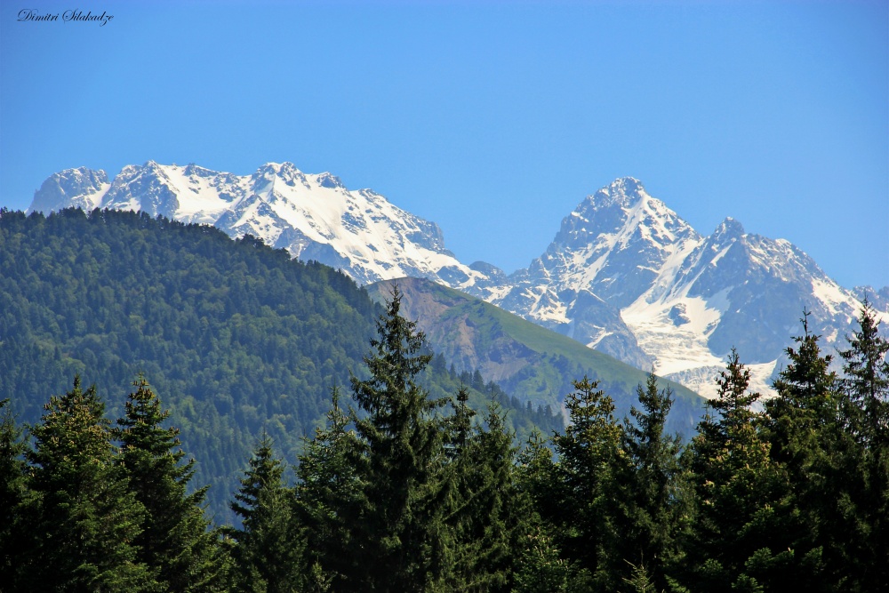 Cershina Chanchaxi 4462M.