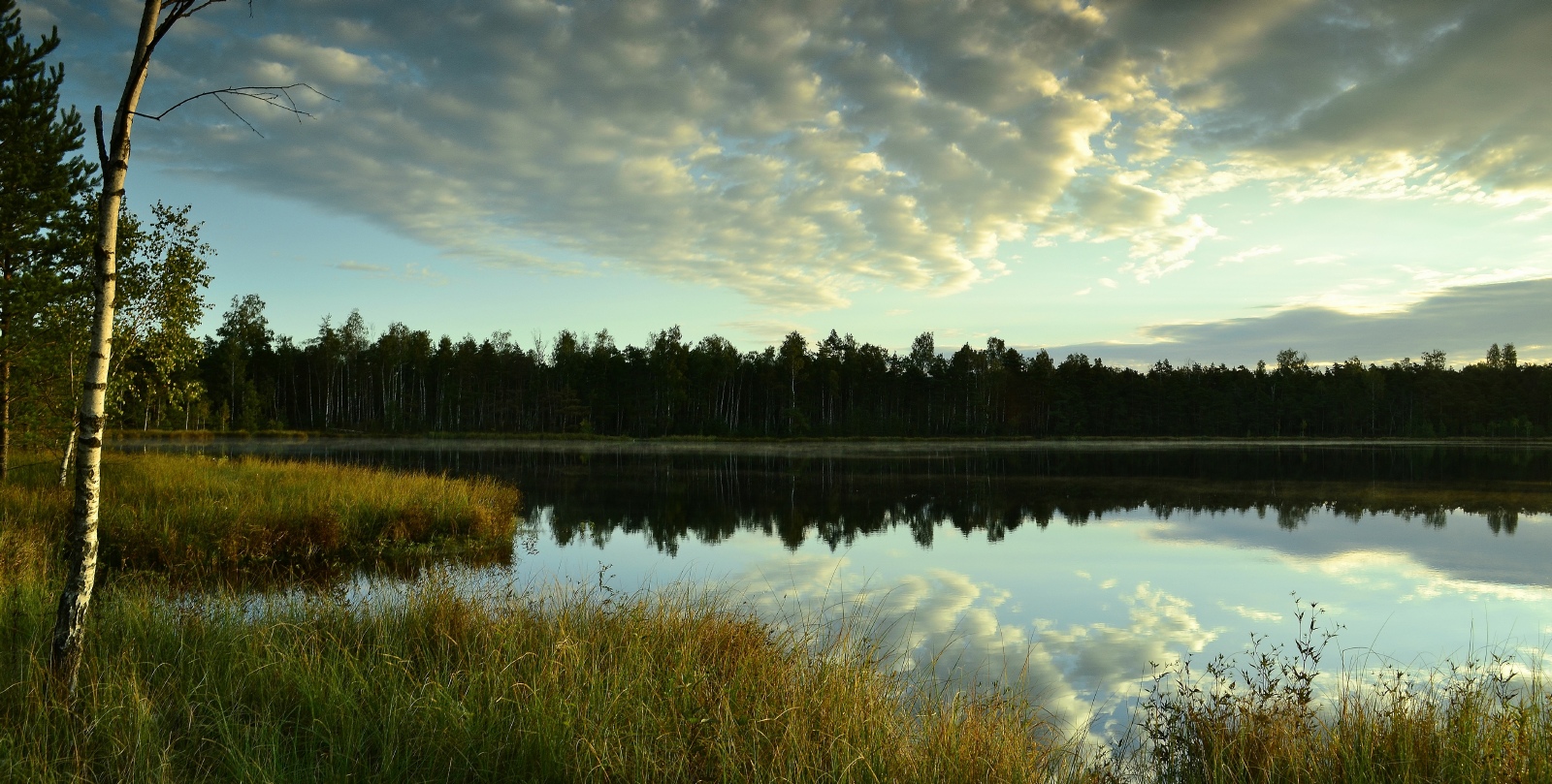 ein bewölkter Morgen
