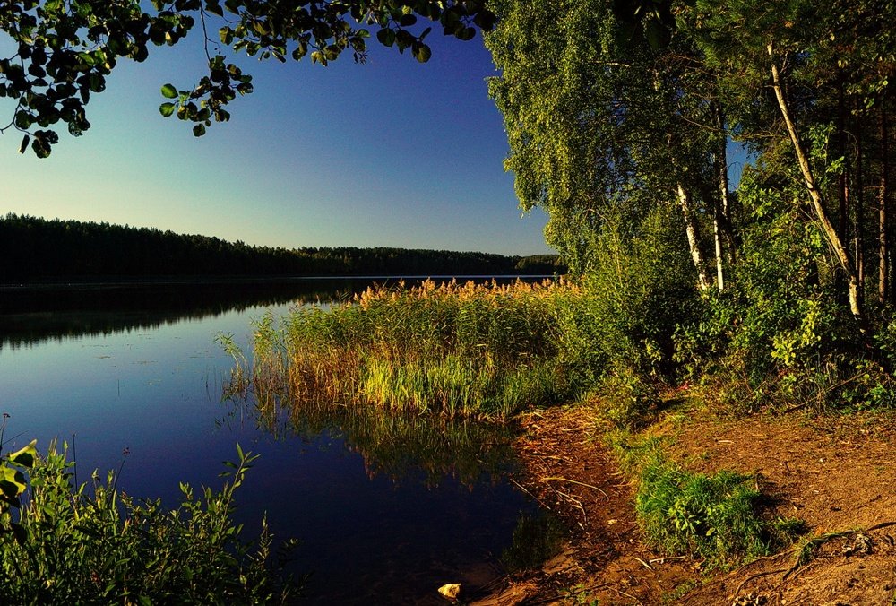 Am See in den Wäldern