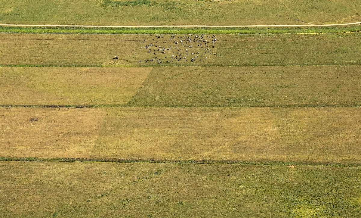Mit einer Höhe von ...