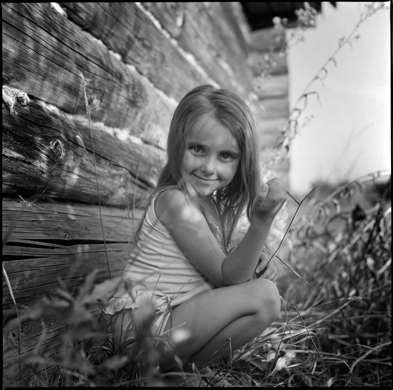 Über eine Heuschrecke in der cam