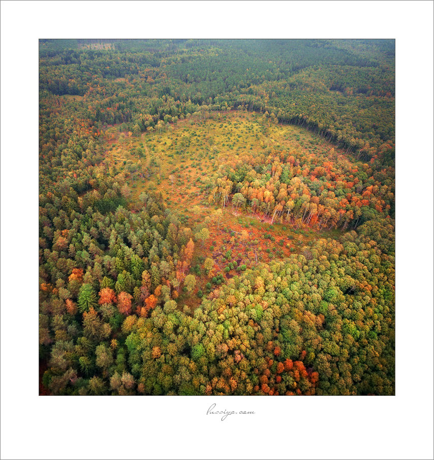 Einer flog über den Herbst