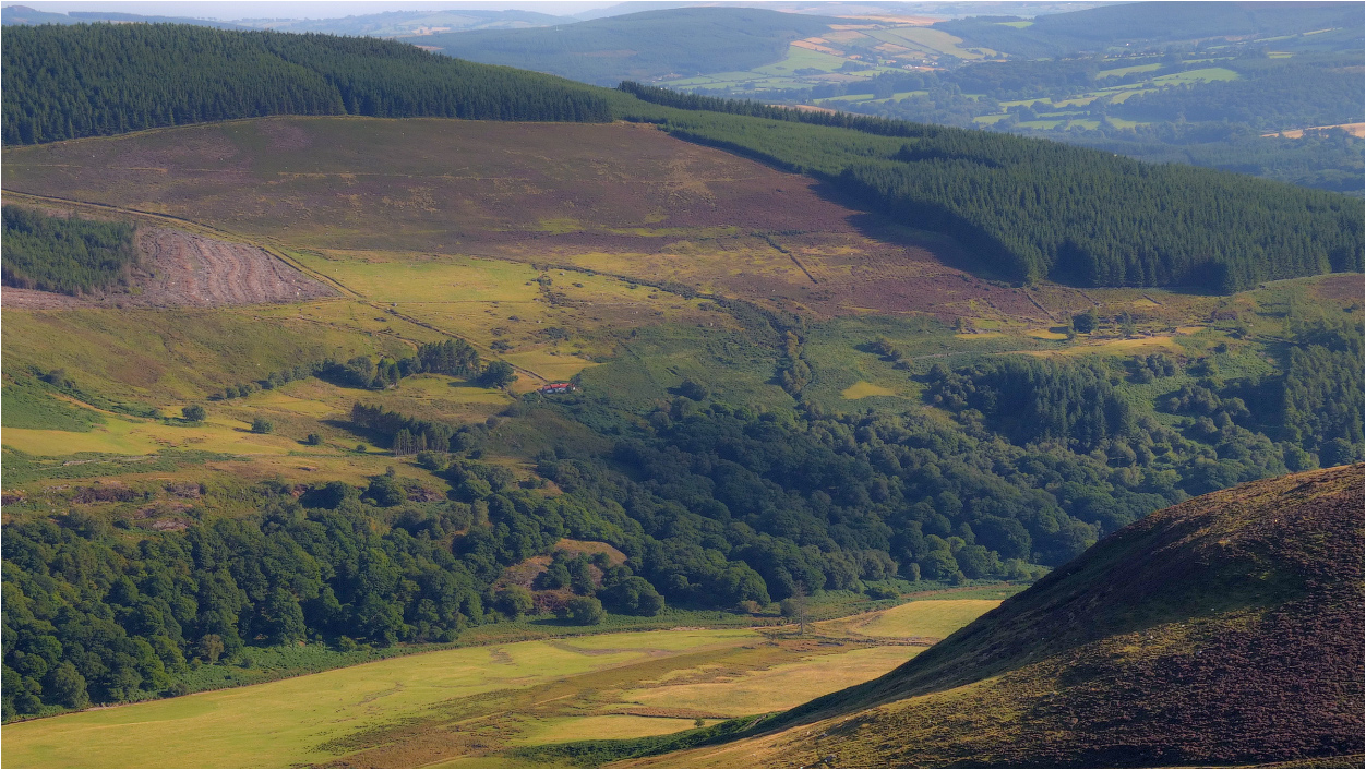 ... Über das Forsthaus ...)