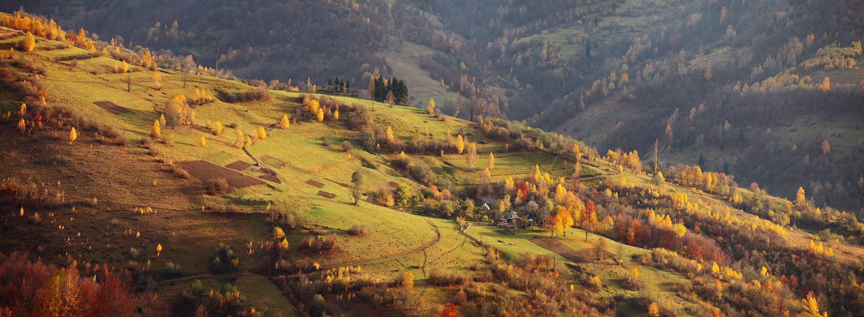 Über letzten Herbst
