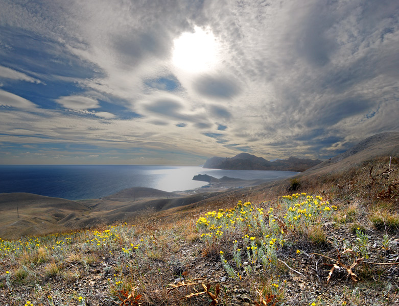 Frühling Weiten Cimmeria