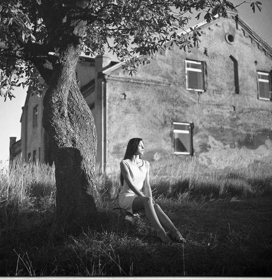 über einen Baum, an dem hing eine Schaukel ...