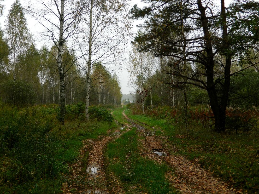 Herbst ist gekommen.