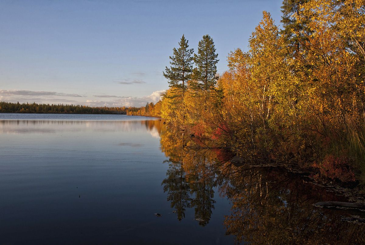 Goldener Herbst Norden