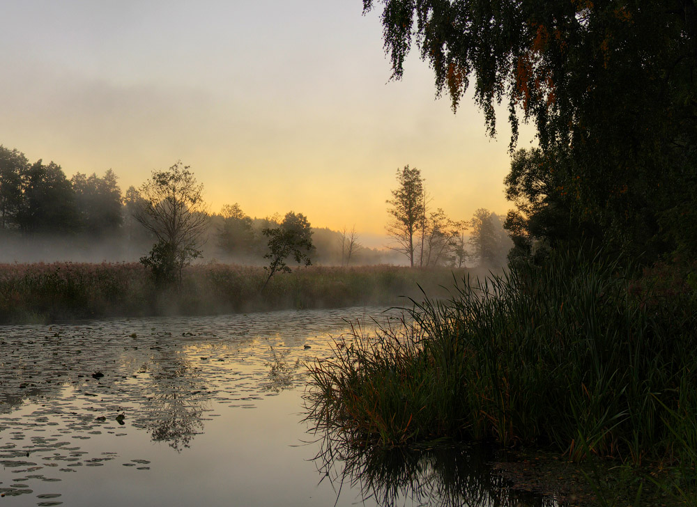 Studieren in der Dämmerung