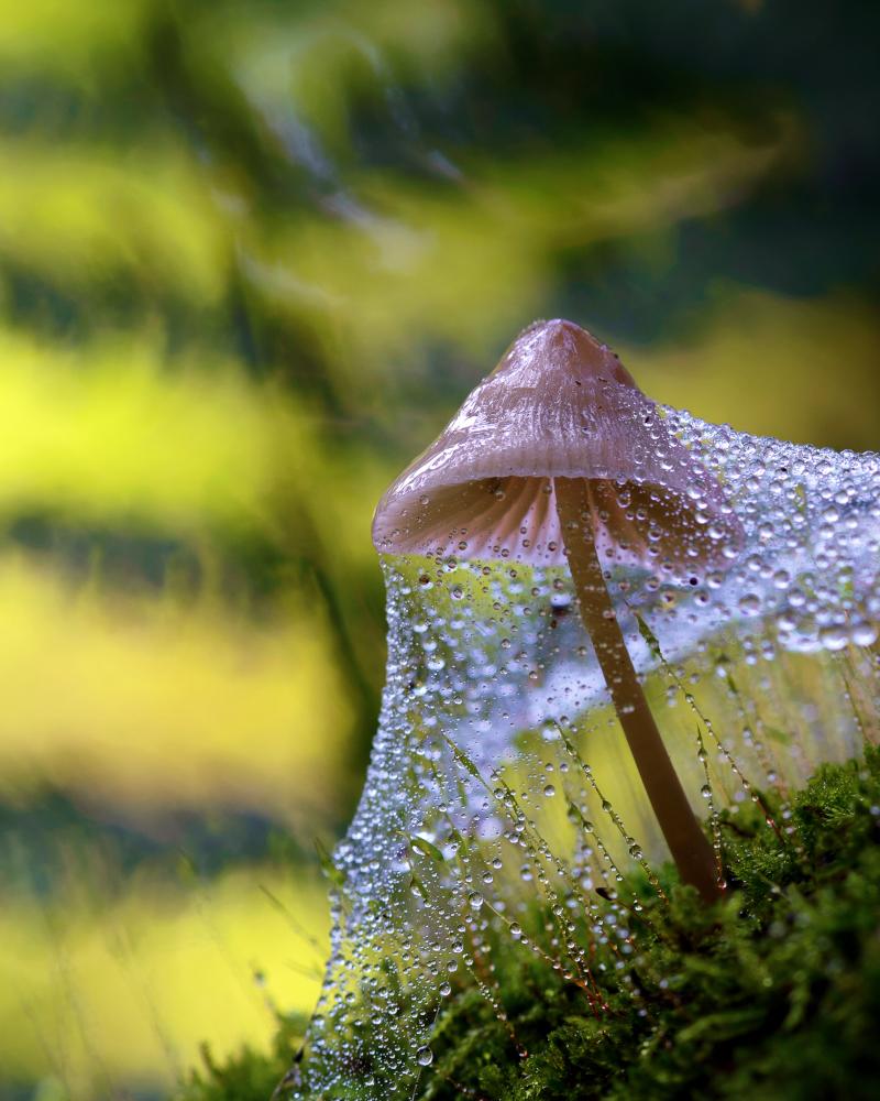 Ich werde zum ersten Ecke