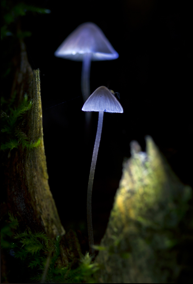 Sketch mit Standard-Lampen